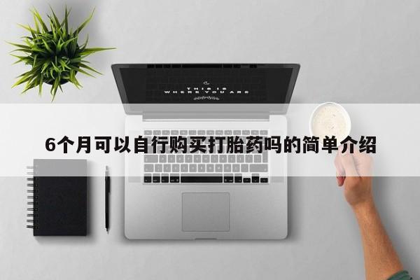 哪个私人有卖打胎药的6个月可以自行购买打胎药吗的简单介绍